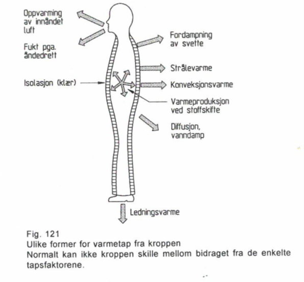 Figur 1