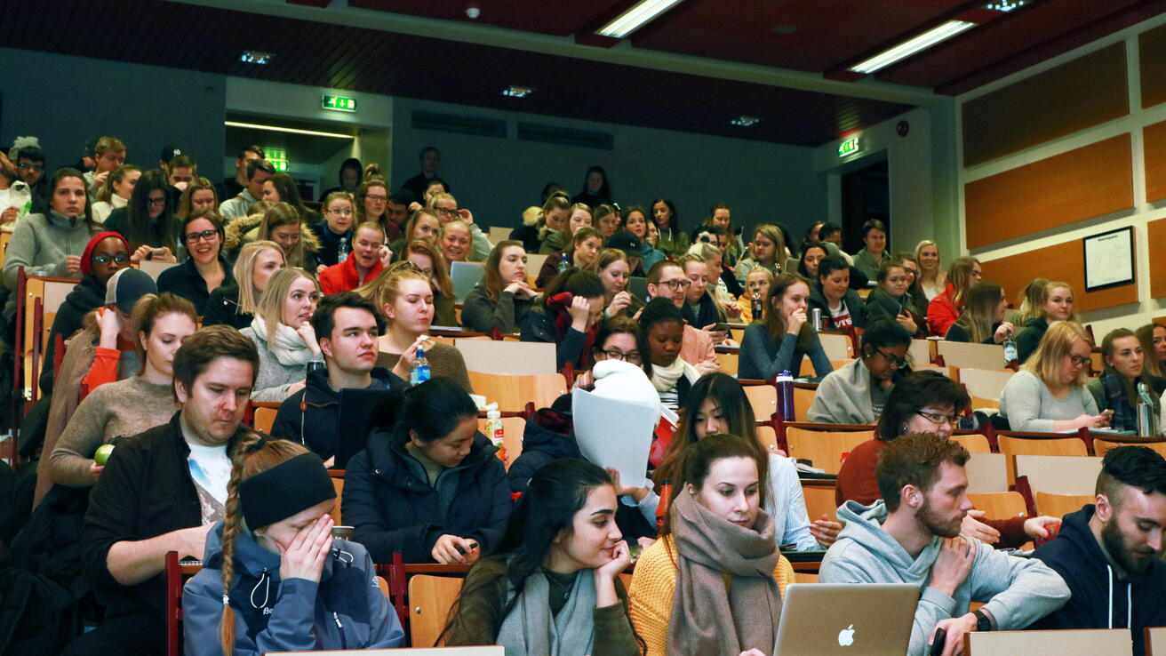 Studentar under SOM-seminar