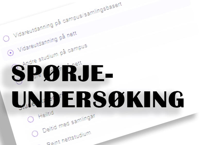 Spørjeundersøking