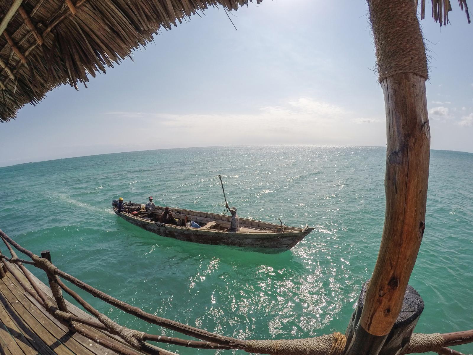 Utveksling på Zanzibar